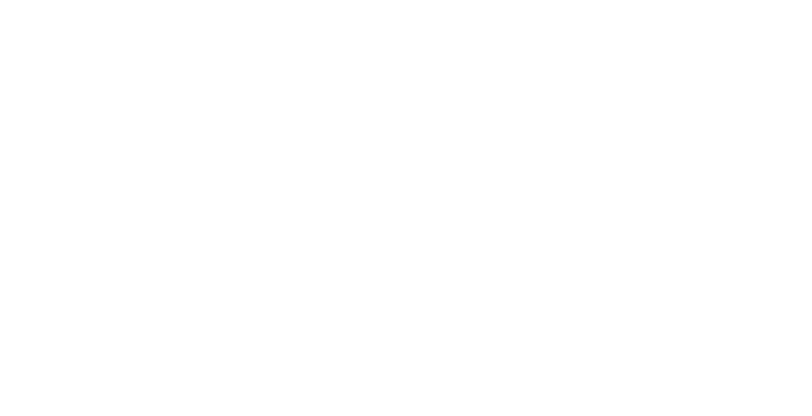Elmosódott valóság